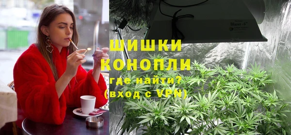 mdpv Богданович