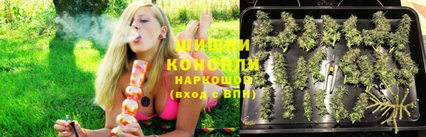 mdpv Богданович