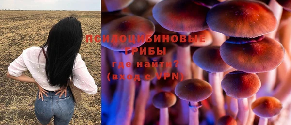 mdpv Богданович